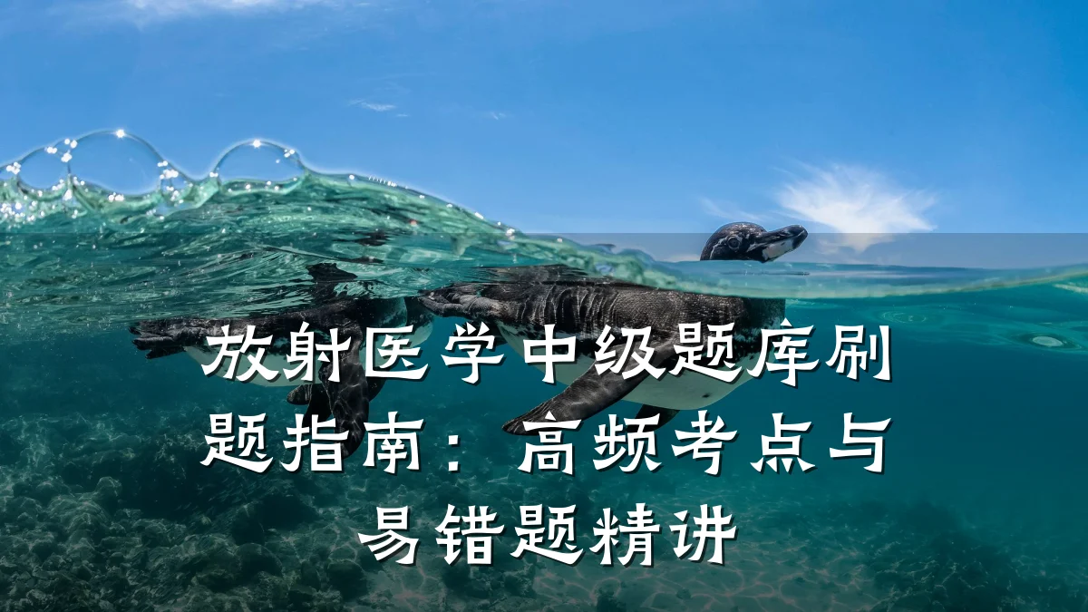 放射医学中级题库刷题指南:高频考点与易错题精讲