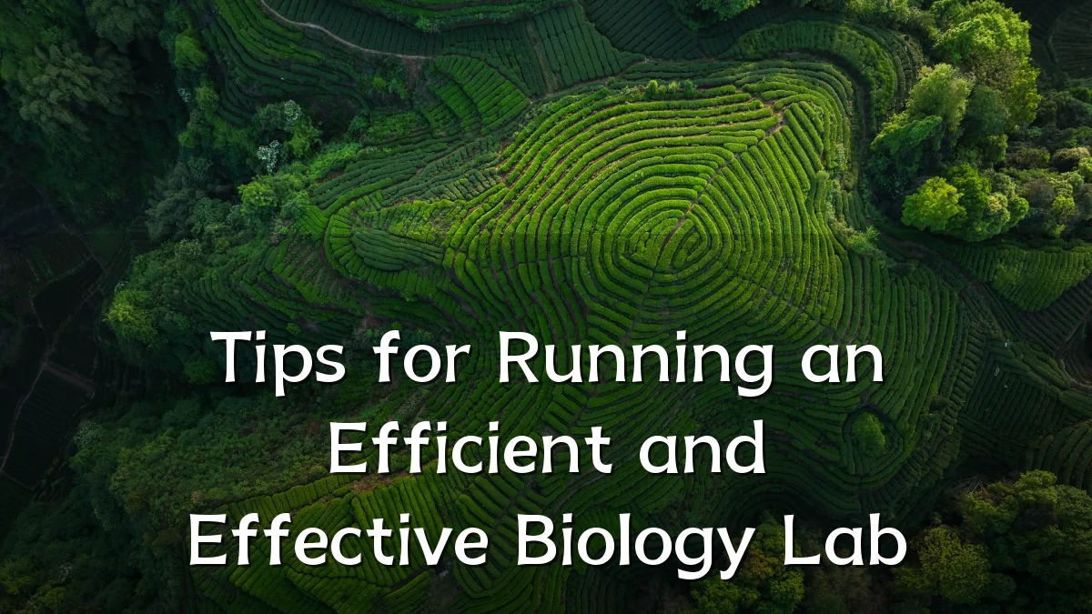 Tips for Running an Efficient and Effective Biology Lab