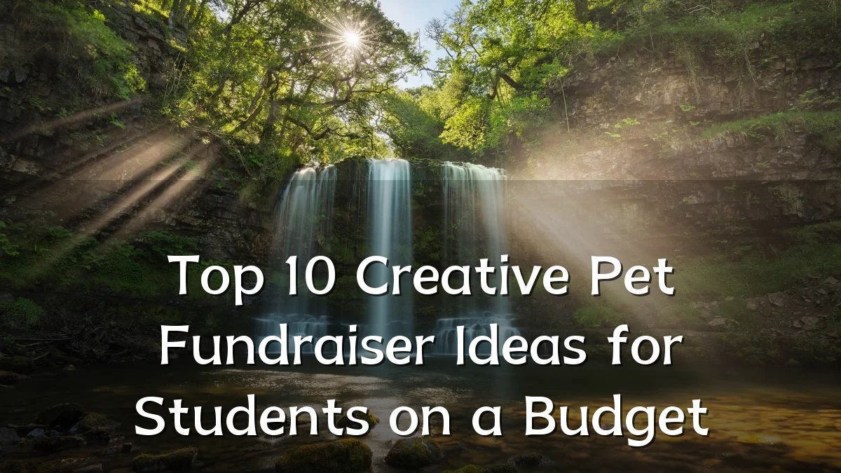 Top 10 Creative Pet Fundraiser Ideas for Students on a Budget