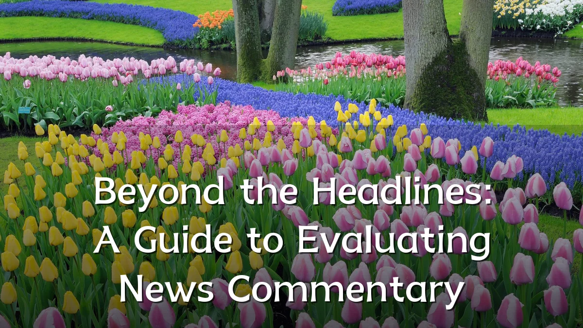 Beyond the Headlines: A Guide to Evaluating News Commentary