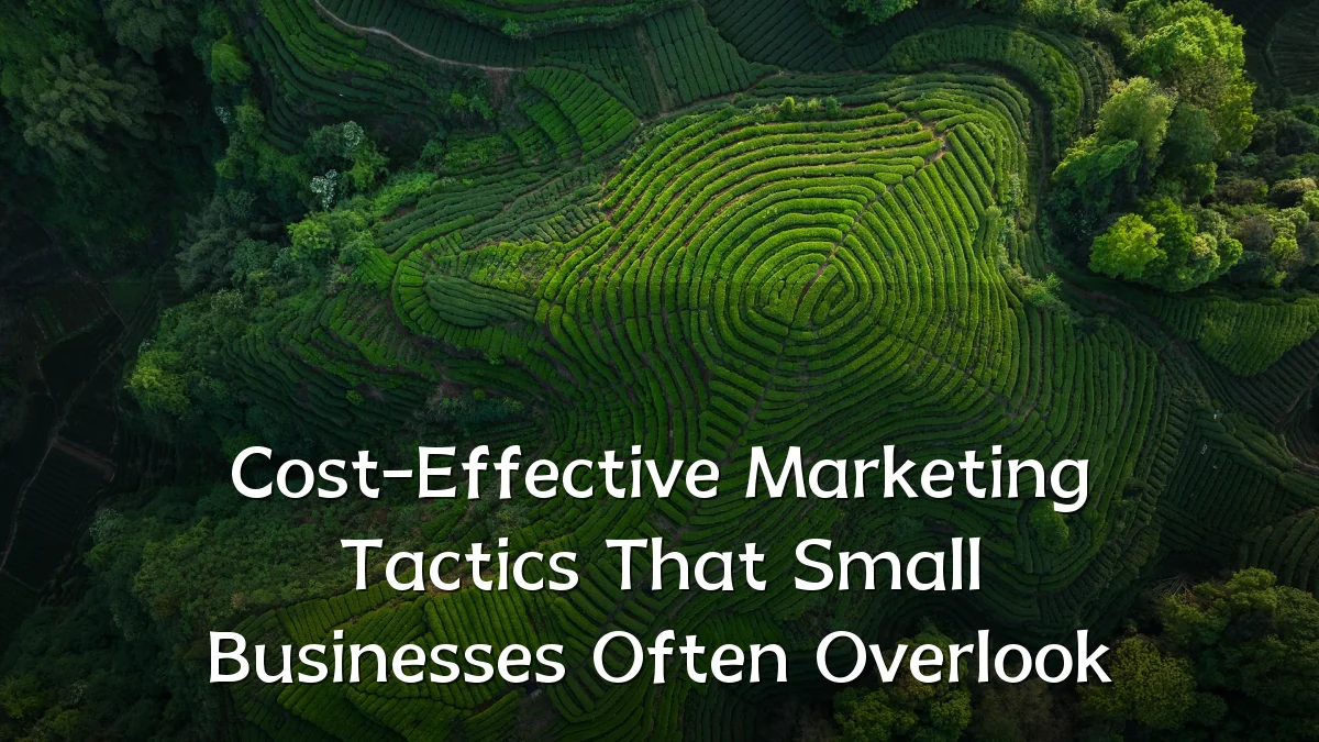 Cost-Effective Marketing Tactics That Small Businesses Often Overlook