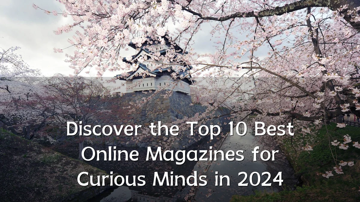 Discover the Top 10 Best Online Magazines for Curious Minds in 2024