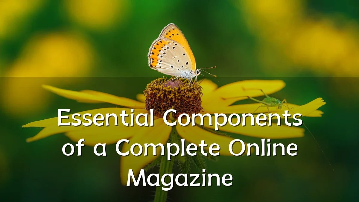 Essential Components of a Complete Online Magazine
