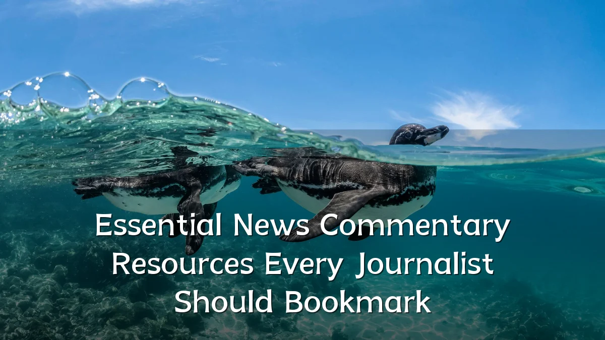 Essential News Commentary Resources Every Journalist Should Bookmark