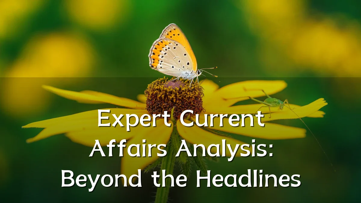 Expert Current Affairs Analysis: Beyond the Headlines