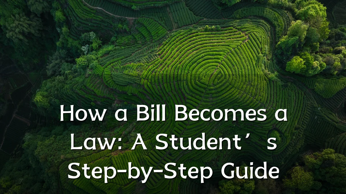 How a Bill Becomes a Law: A Student’s Step-by-Step Guide