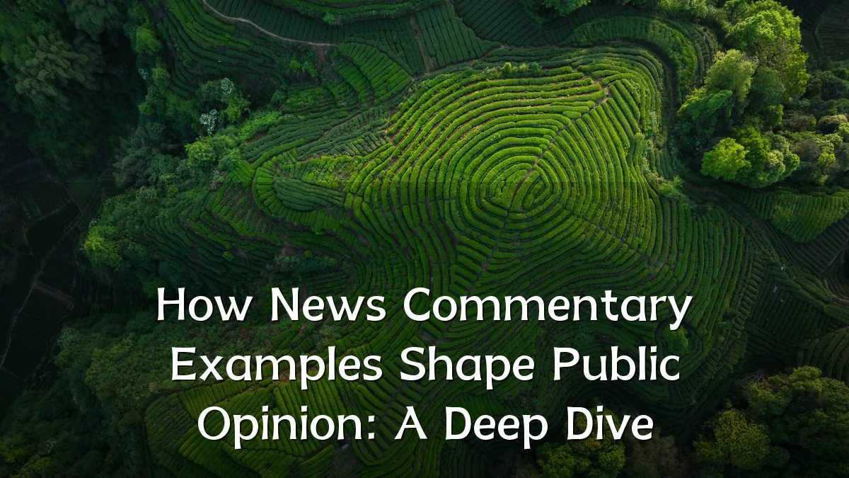 How News Commentary Examples Shape Public Opinion: A Deep Dive