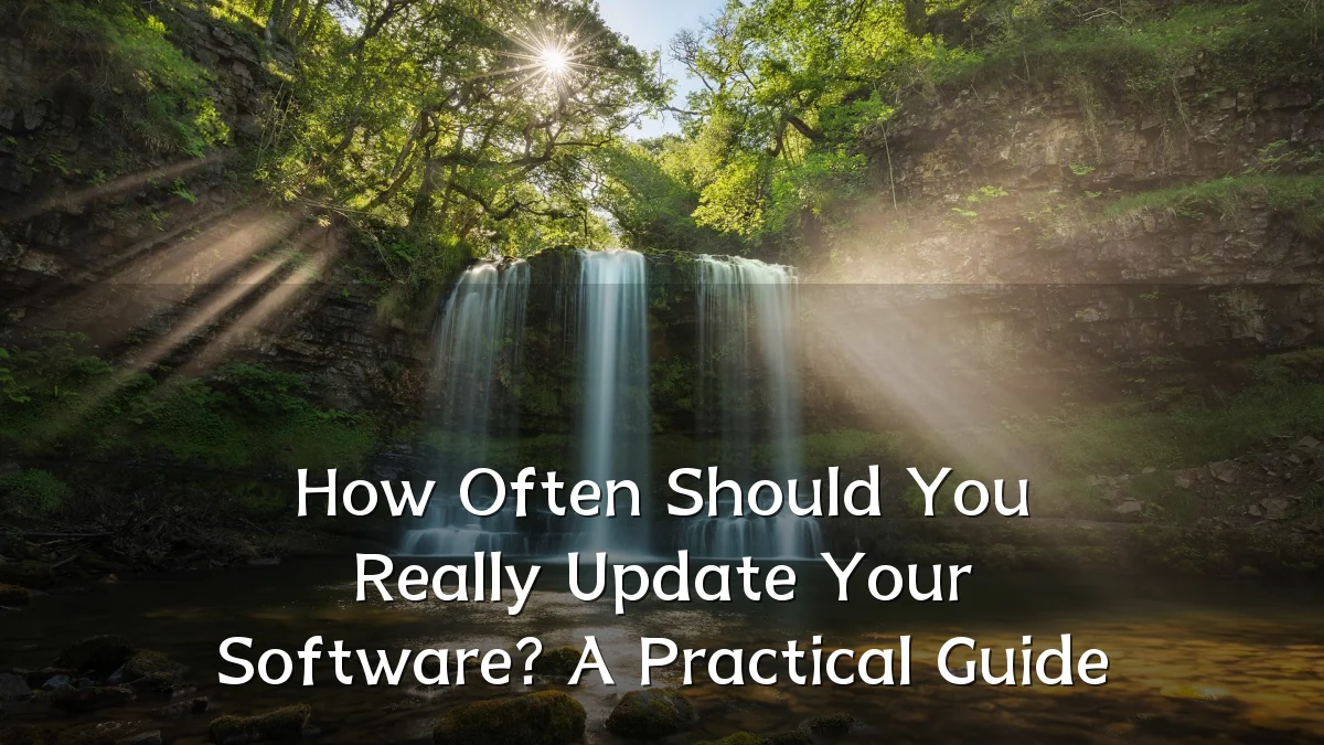 How Often Should You Really Update Your Software? A Practical Guide