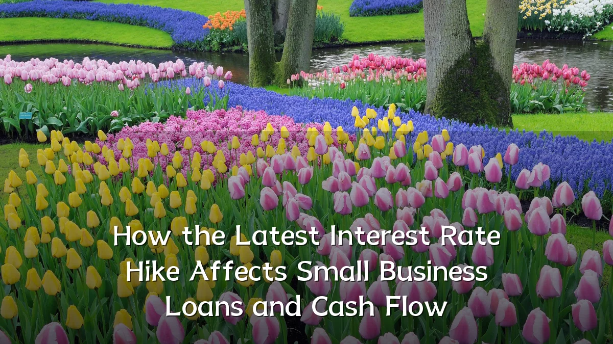 How the Latest Interest Rate Hike Affects Small Business Loans and Cash Flow