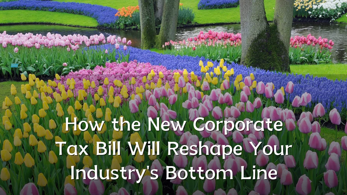 How the New Corporate Tax Bill Will Reshape Your Industry's Bottom Line