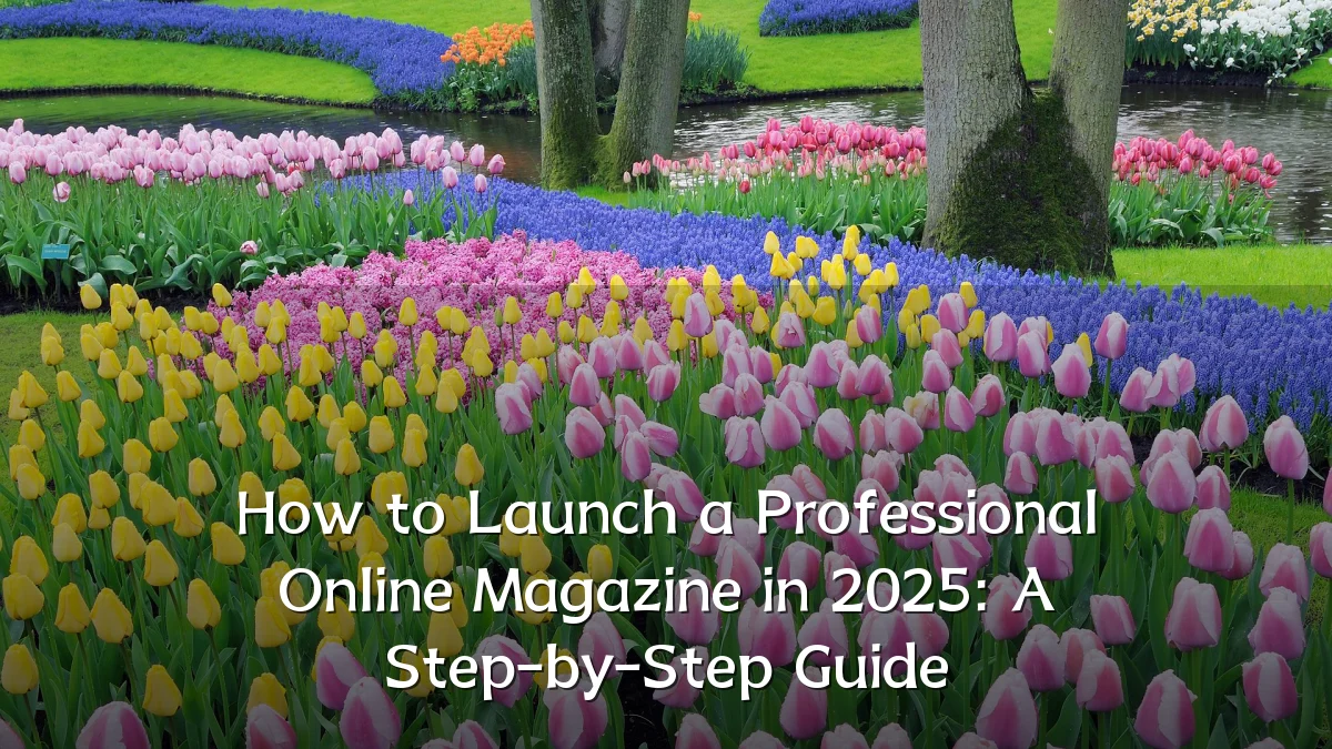 How to Launch a Professional Online Magazine in 2025: A Step-by-Step Guide