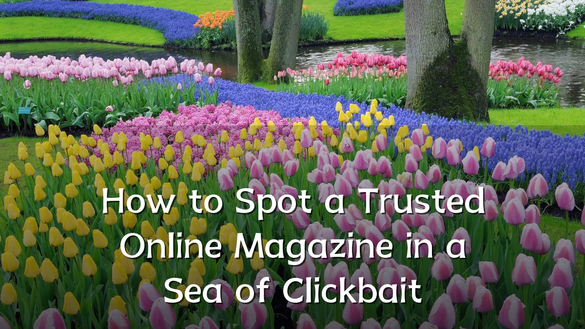 How to Spot a Trusted Online Magazine in a Sea of Clickbait