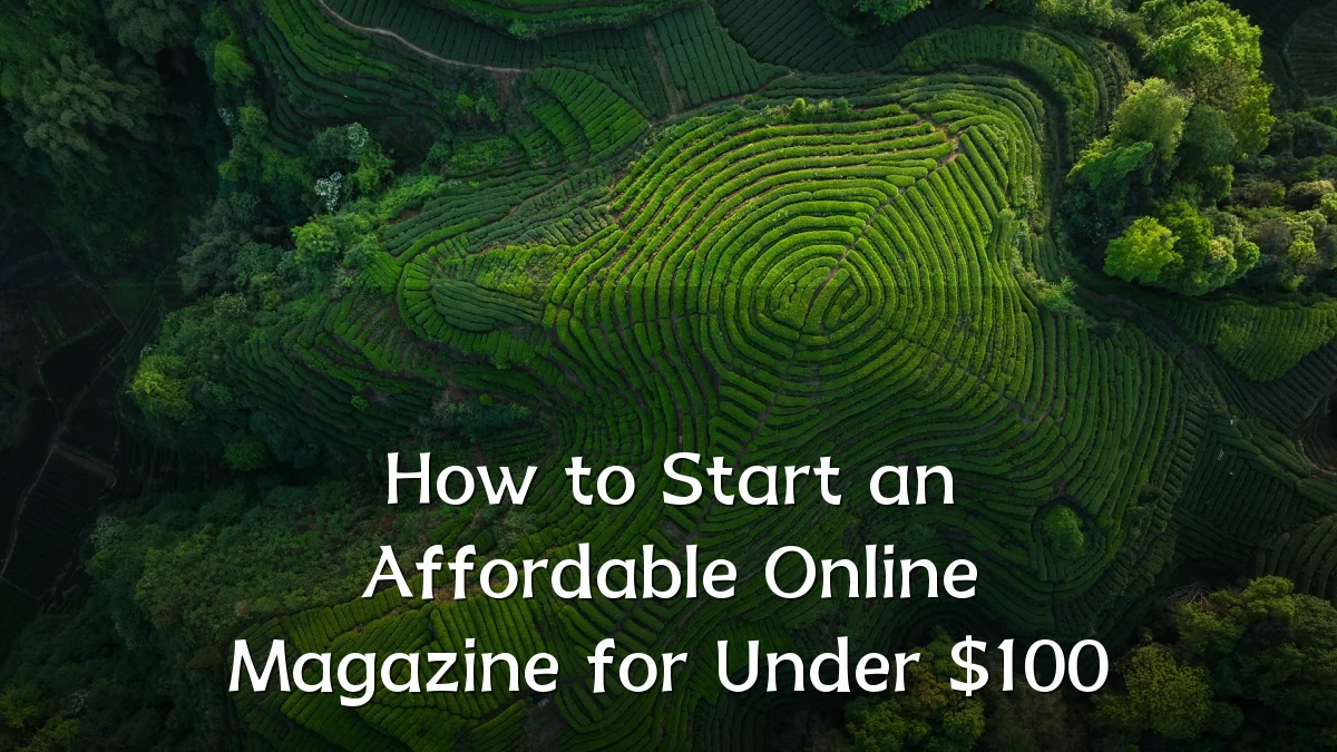 How to Start an Affordable Online Magazine for Under $100