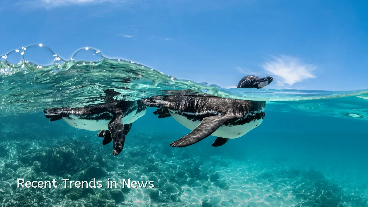 Recent Trends in News