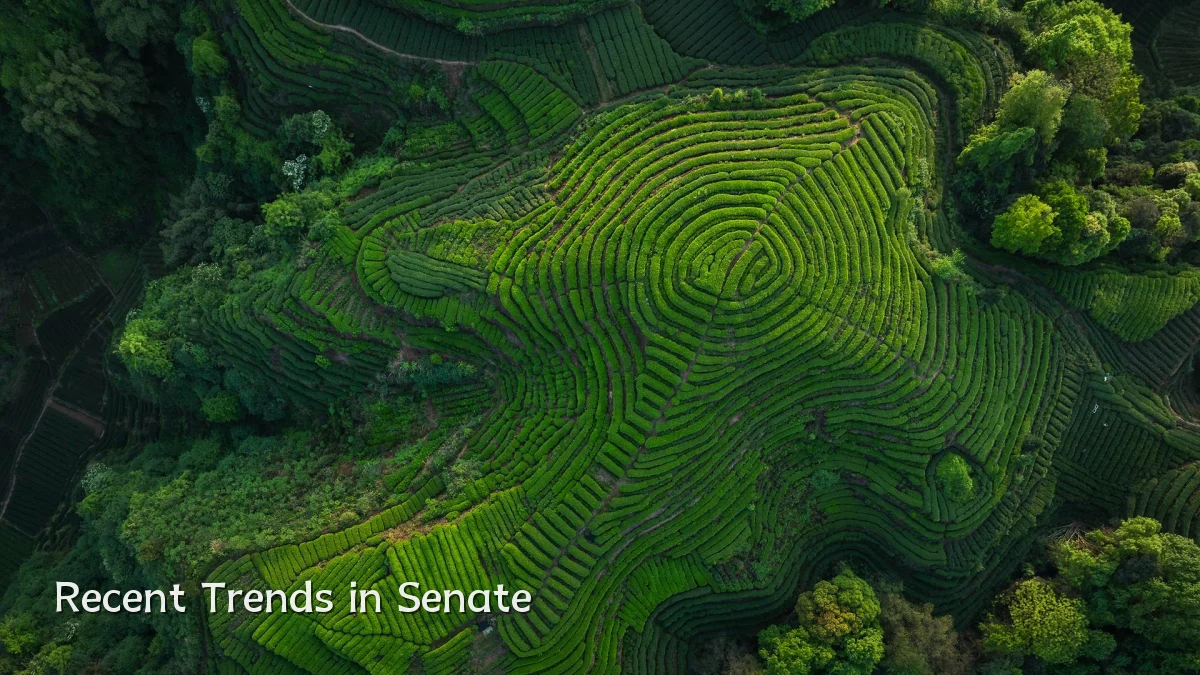 Recent Trends in Senate
