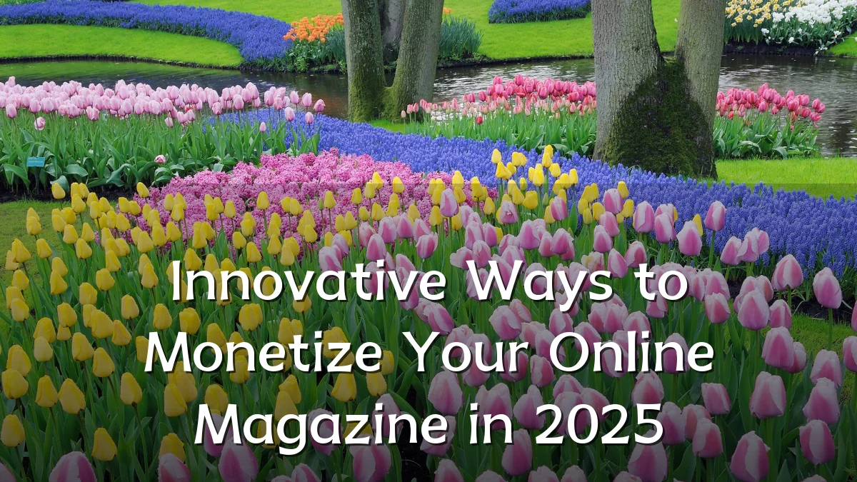 Innovative Ways to Monetize Your Online Magazine in 2025