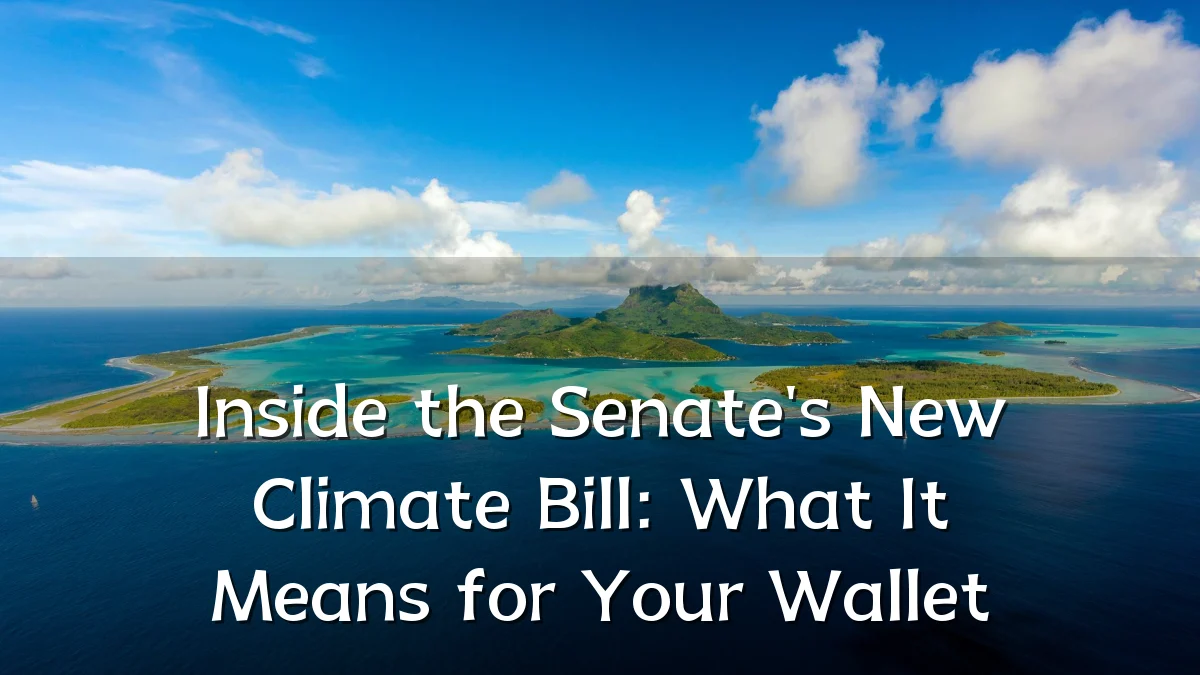Inside the Senate's New Climate Bill: What It Means for Your Wallet