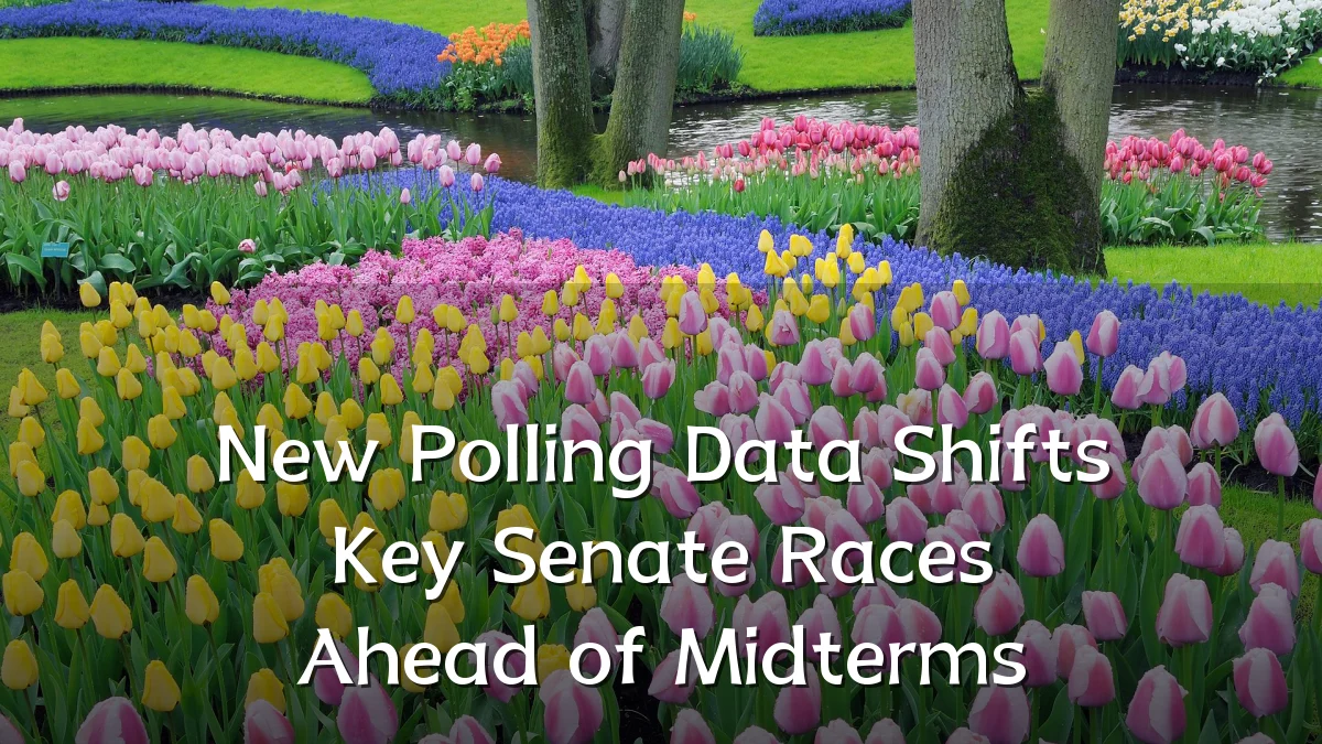 New Polling Data Shifts Key Senate Races Ahead of Midterms