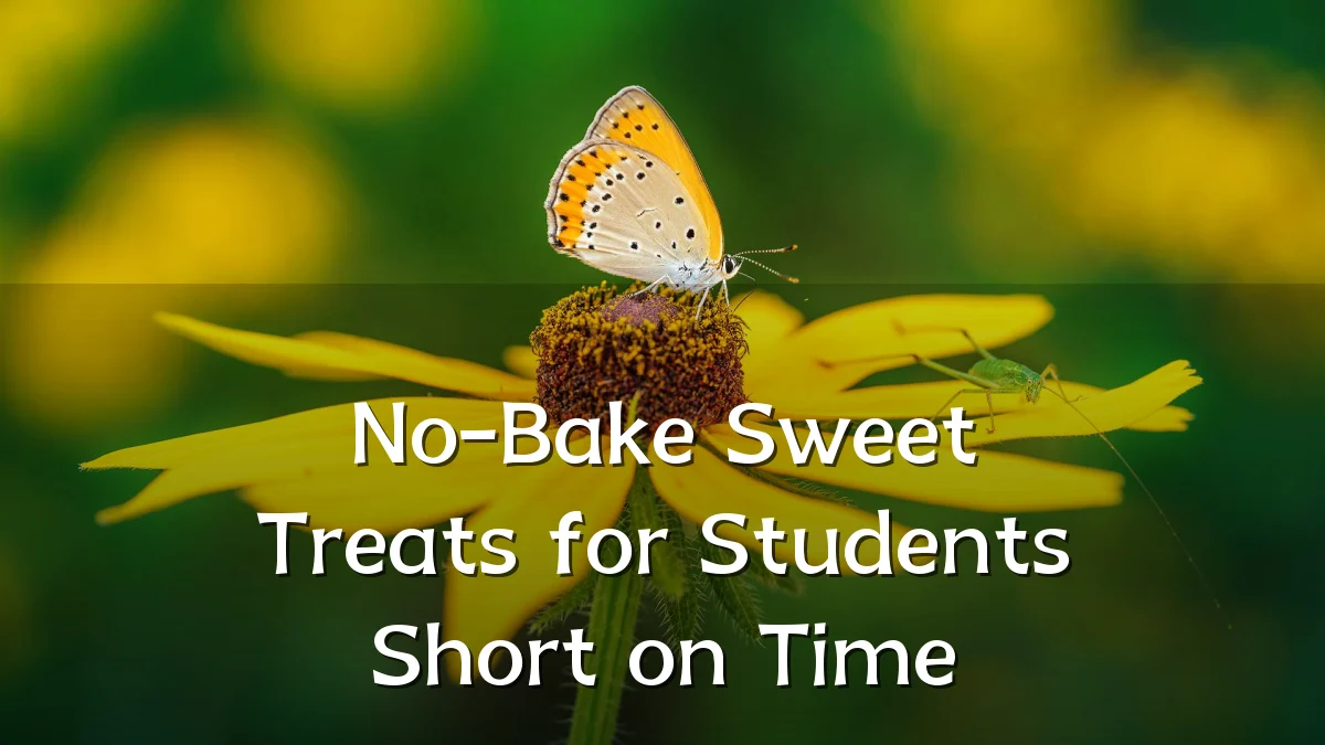 No-Bake Sweet Treats for Students Short on Time