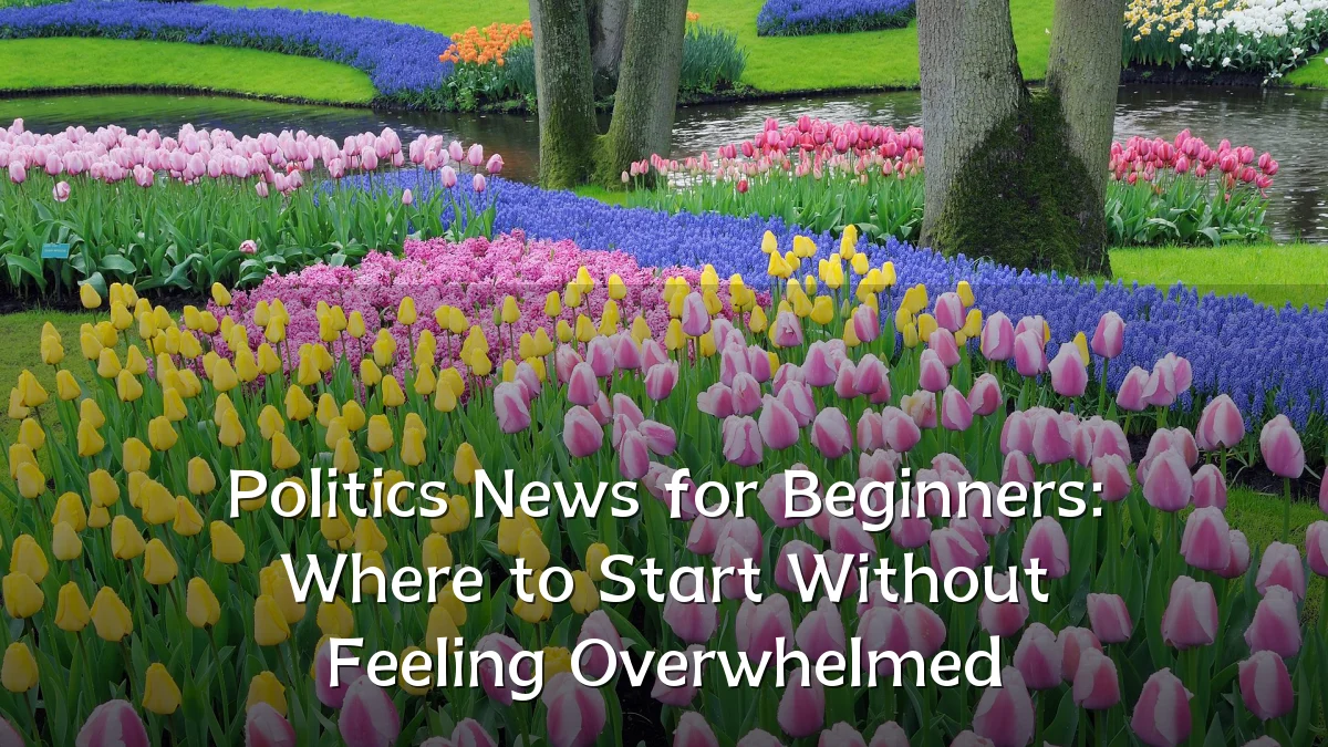 Politics News for Beginners: Where to Start Without Feeling Overwhelmed