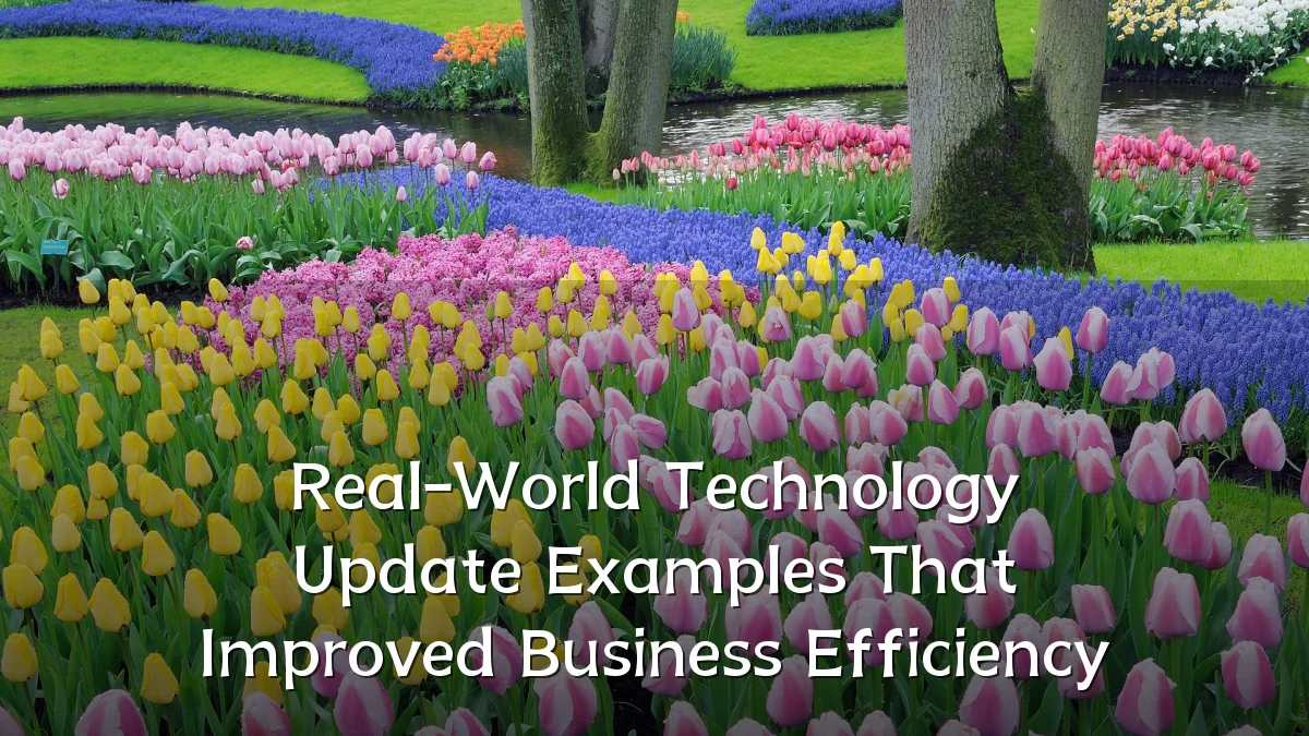 Real-World Technology Update Examples That Improved Business Efficiency