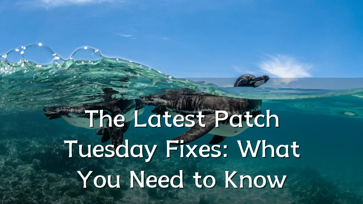 The Latest Patch Tuesday Fixes: What You Need to Know