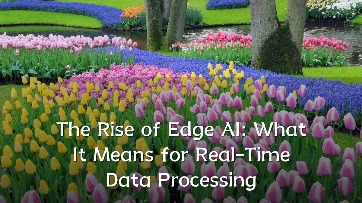 The Rise of Edge AI: What It Means for Real-Time Data Processing