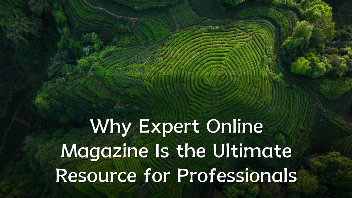 Why Expert Online Magazine Is the Ultimate Resource for Professionals