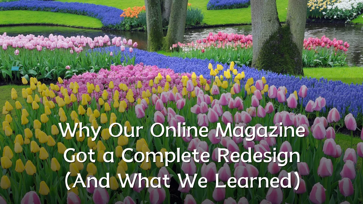 Why Our Online Magazine Got a Complete Redesign (And What We Learned)