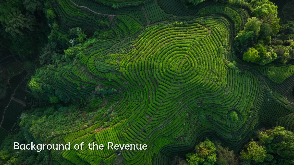 Background of the Revenue