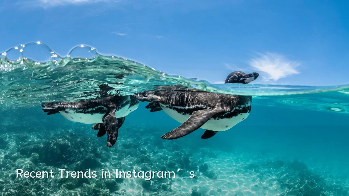 Recent Trends in Instagram’s