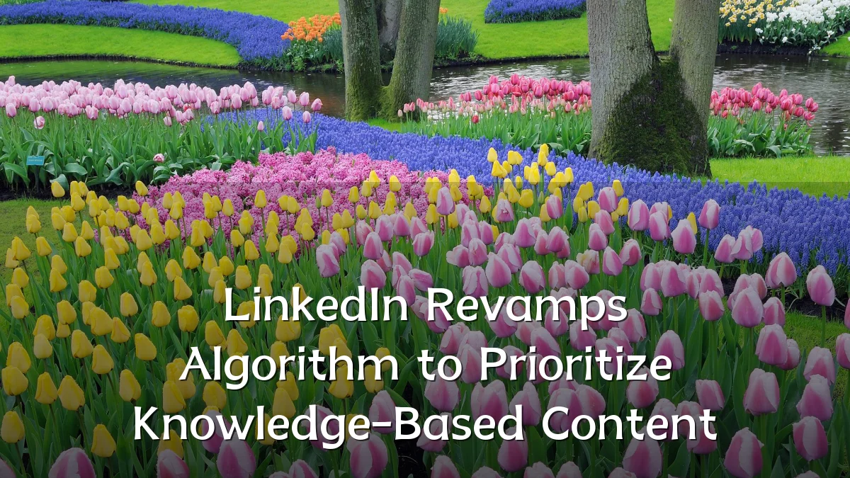 LinkedIn Revamps Algorithm to Prioritize Knowledge-Based Content