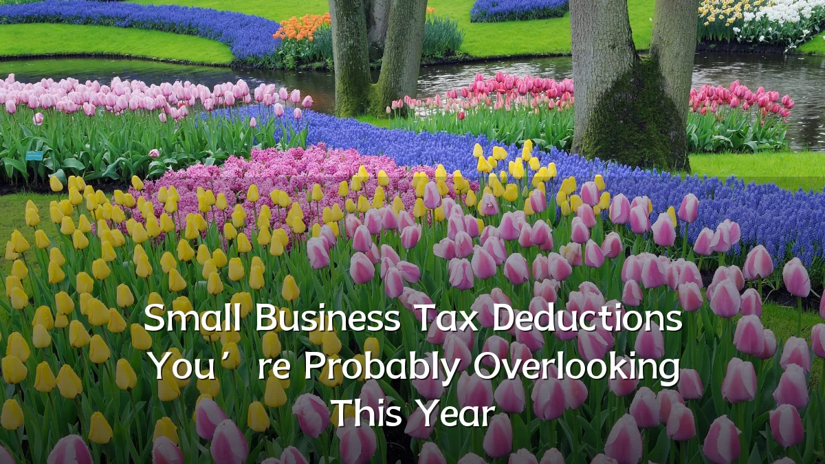 Small Business Tax Deductions You’re Probably Overlooking This Year