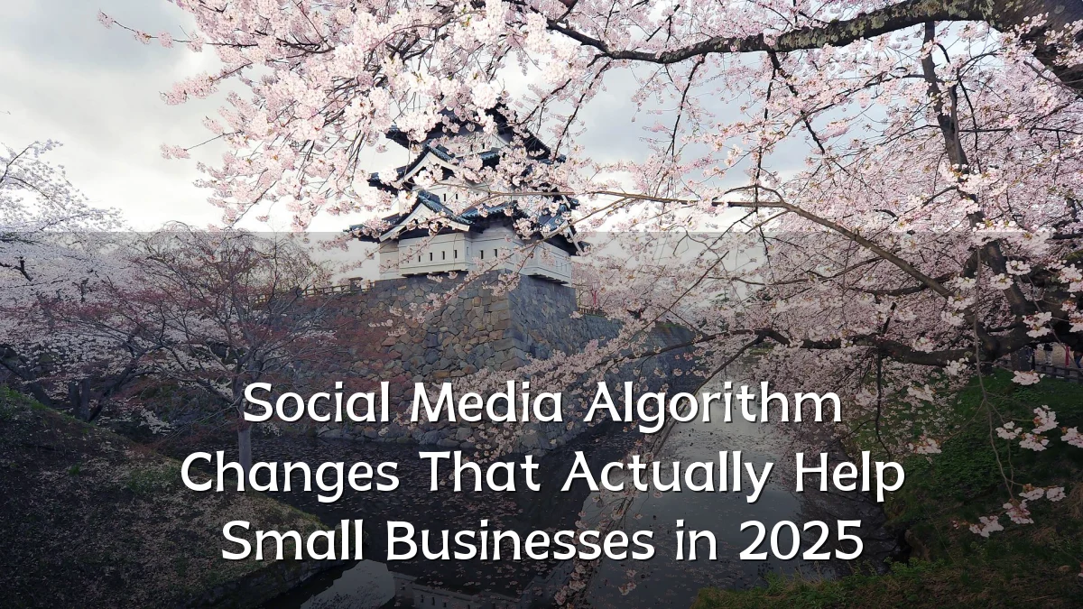 Social Media Algorithm Changes That Actually Help Small Businesses in 2025