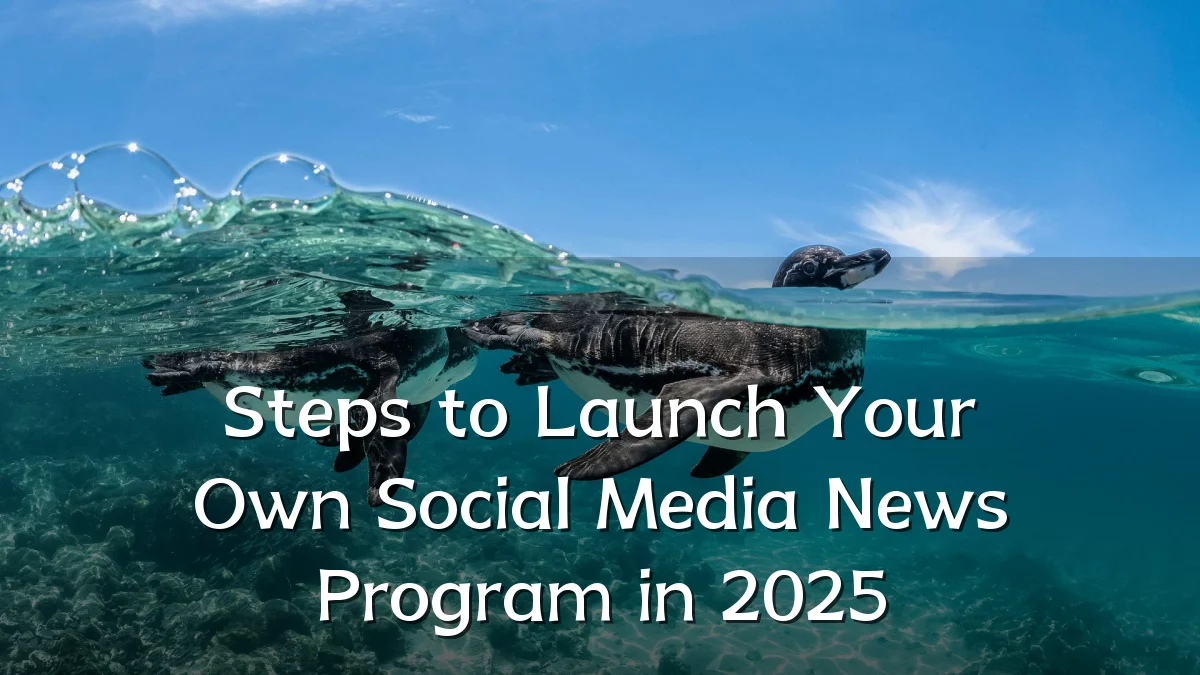 Steps to Launch Your Own Social Media News Program in 2025