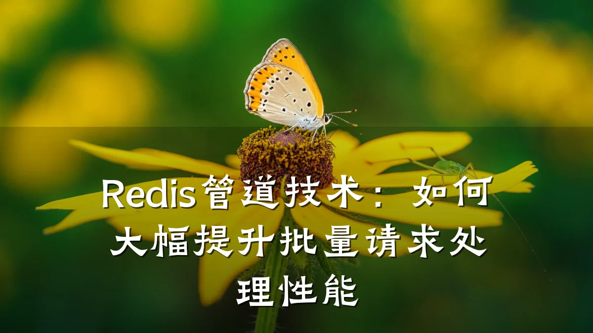 Redis管道技术:如何大幅提升批量请求处理性能
