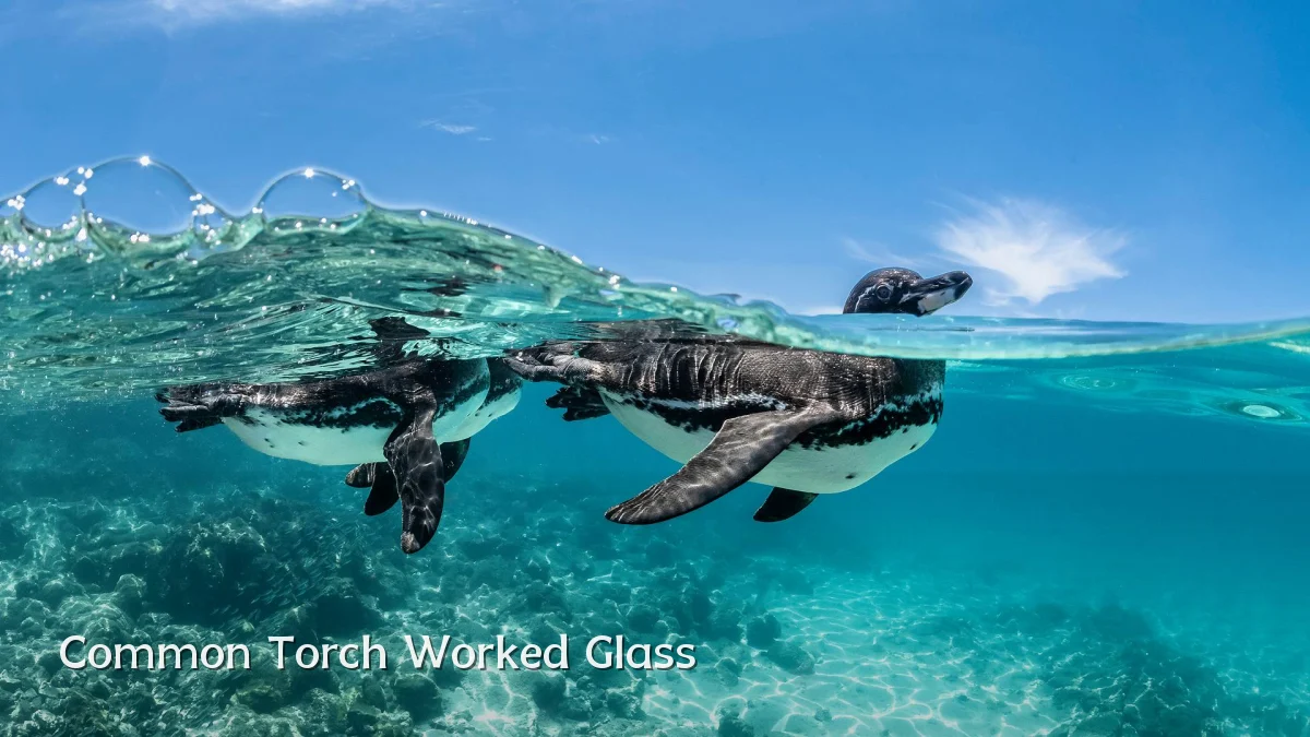 Common Torch Worked Glass