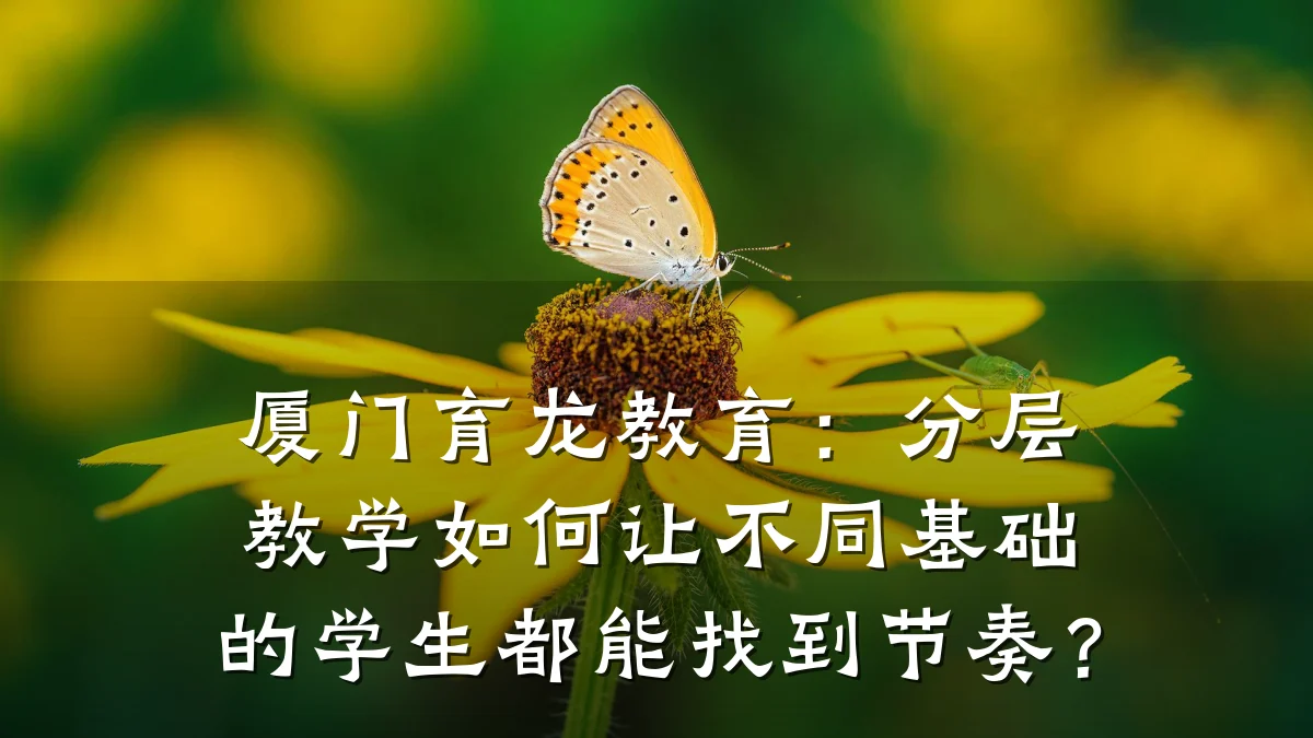 厦门育龙教育：分层教学如何让不同基础的学生都能找到节奏？